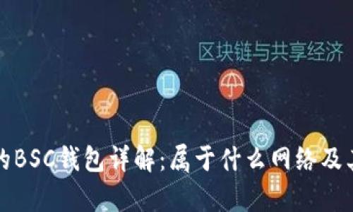 tp钱包中的BSC钱包详解:属于什么网络及其使用指南