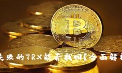 TP钱包兑换失败的TRX能否找回？全面解析与解决方