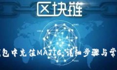 如何在TP钱包中充值MATIC：详细步骤与常见问题解