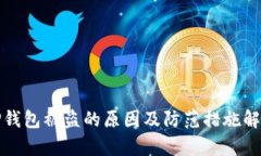 TP钱包被盗的原因及防范措施解析