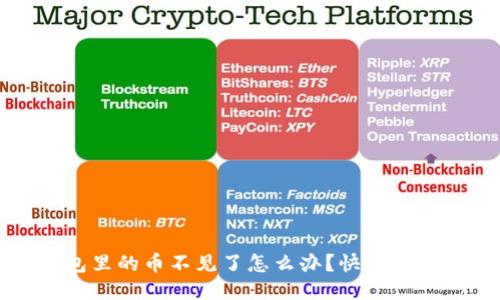 TP钱包里的币不见了怎么办？快速找回指南