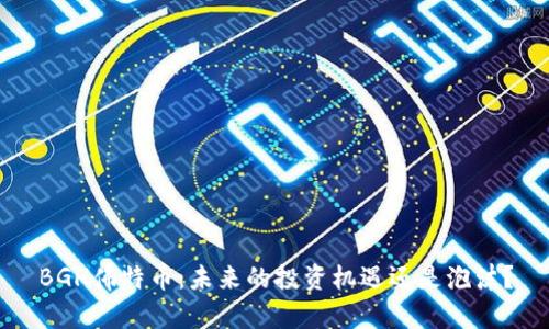 BGH佛特币：未来的投资机遇还是泡沫？