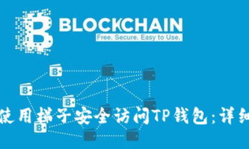 如何使用梯子安全访问TP钱包：详细指南