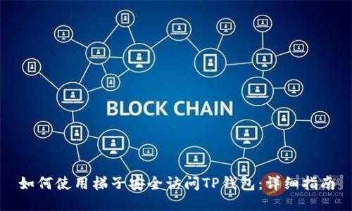如何使用梯子安全访问TP钱包：详细指南