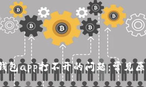 : 解决Topay钱包app打不开的问题：常见原因与解决方案