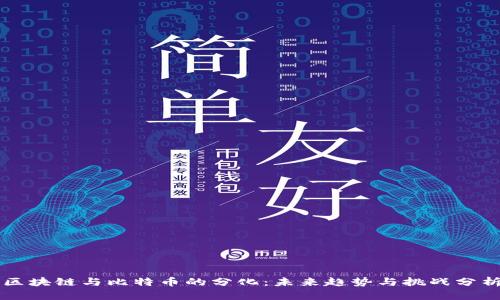 区块链与比特币的分化：未来趋势与挑战分析