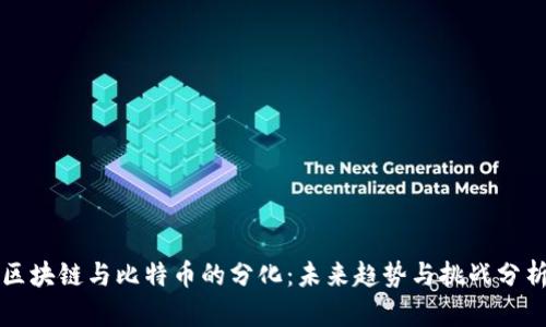 区块链与比特币的分化：未来趋势与挑战分析