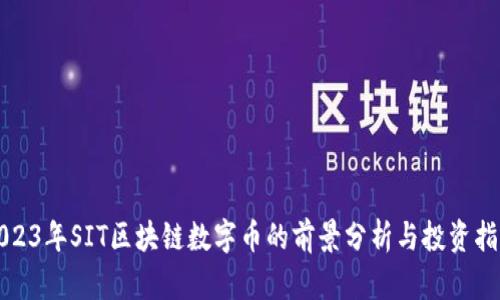 2023年SIT区块链数字币的前景分析与投资指南