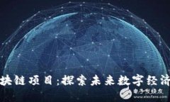 最新网页区块链项目：探索未来数字经济的明星