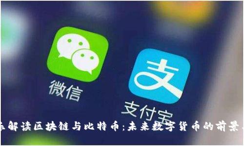 李永乐解读区块链与比特币：未来数字货币的前景与挑战