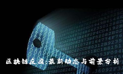 区块链反腐：最新动态与前景分析