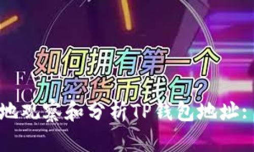 如何有效地观察和分析TP钱包地址: 完整指南