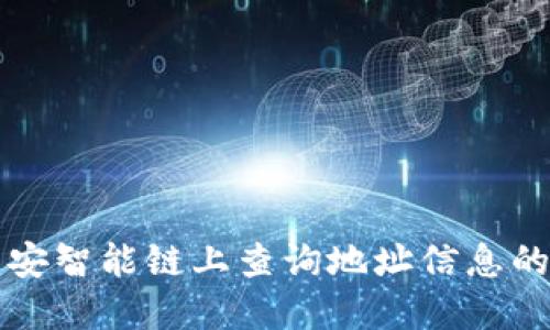 如何在币安智能链上查询地址信息的详细指南