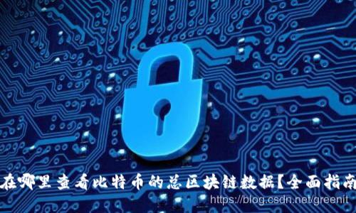 在哪里查看比特币的总区块链数据？全面指南