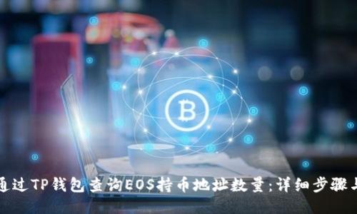 如何通过TP钱包查询EOS持币地址数量：详细步骤与技巧
