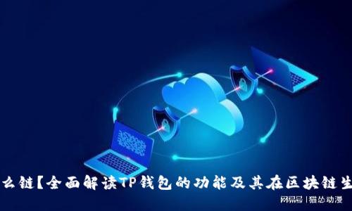 TP钱包是什么链？全面解读TP钱包的功能及其在区块链生态中的位置