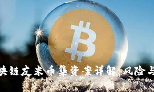 延吉市区块链友米币集资案详解：风险与机遇并存