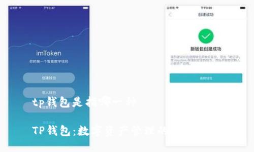 tp钱包是指哪一种

TP钱包：数字资产管理的最佳选择