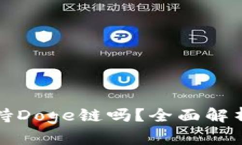 TP钱包中支持Doge链吗？全面解析与使用指南