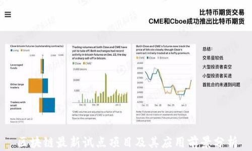 
区块链最新试点项目及其应用前景分析
