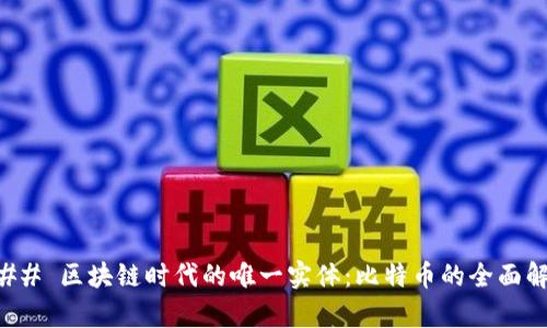 ### 区块链时代的唯一实体：比特币的全面解析