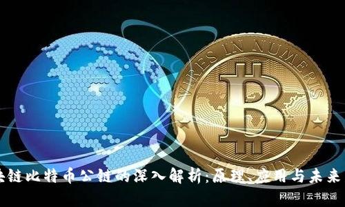 区块链比特币公链的深入解析：原理、应用与未来发展