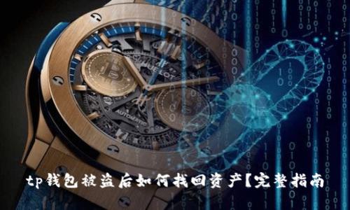 tp钱包被盗后如何找回资产？完整指南