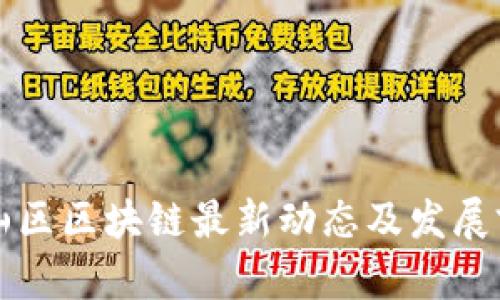 深圳坪山区区块链最新动态及发展前景分析