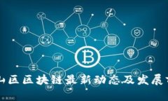 深圳坪山区区块链最新动态及发展前景分析