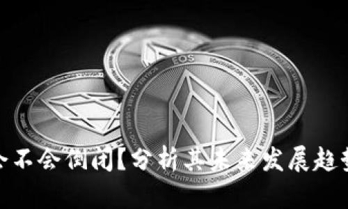 TP钱包会不会倒闭？分析其未来发展趋势与风险