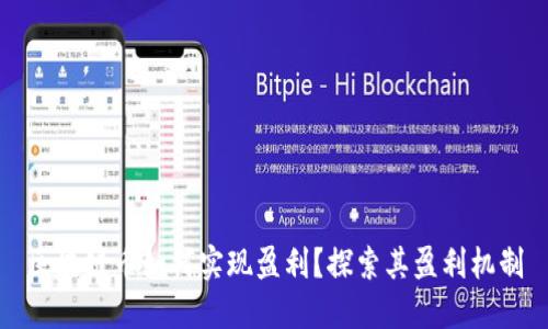 区块链币如何实现盈利？探索其盈利机制