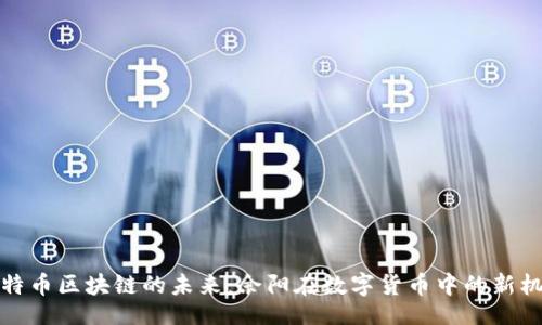 的  
比特币区块链的未来：余阳在数字货币中的新机遇