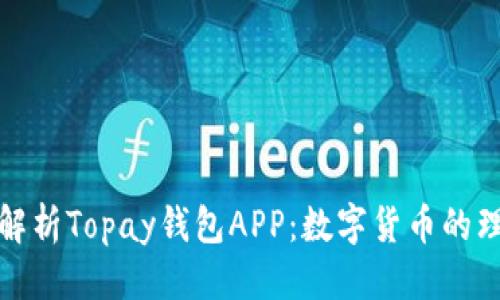 优质
全方位解析Topay钱包APP：数字货币的理想选择