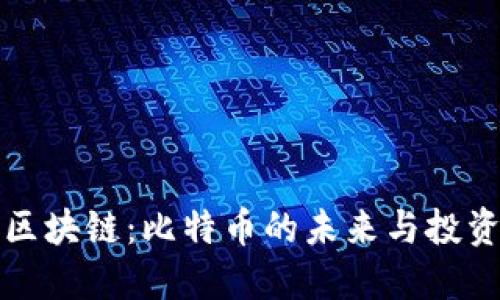 薛蛮子与区块链：比特币的未来与投资价值探讨