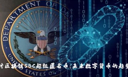 深入探讨区块链SBC超级匿名币：未来数字货币的趋势与挑战