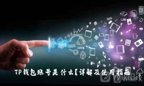 TP钱包账号是什么？详解及使用指南