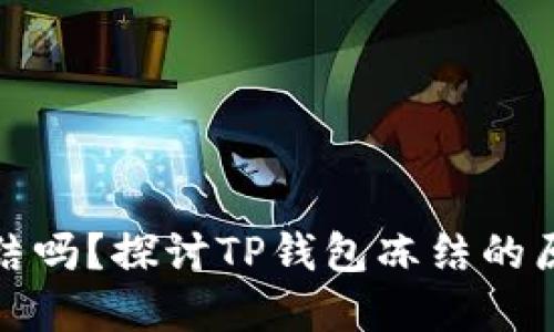 TP钱包会被冻结吗？探讨TP钱包冻结的原因及解决方案