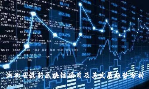 湖北省最新区块链项目及其发展趋势分析