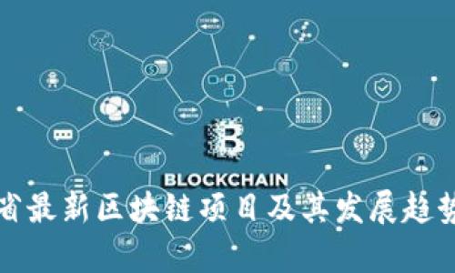 湖北省最新区块链项目及其发展趋势分析