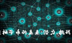 区块链柚子币的未来：潜力、挑战与趋势