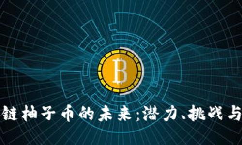 区块链柚子币的未来：潜力、挑战与趋势