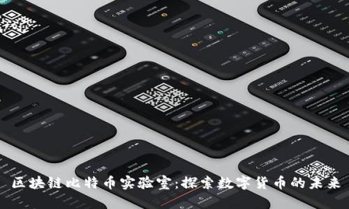 区块链比特币实验室：探索数字货币的未来