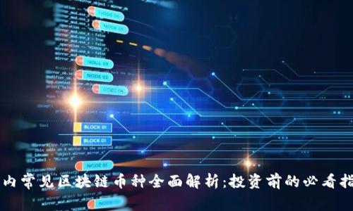 国内常见区块链币种全面解析：投资前的必看指南