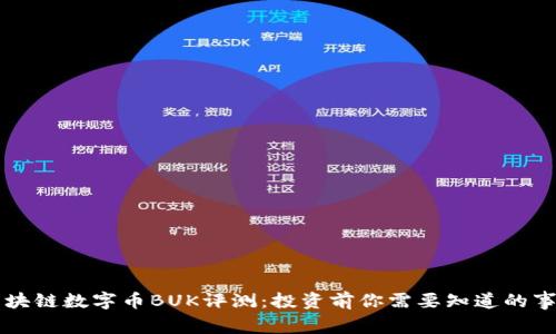 区块链数字币BUK评测：投资前你需要知道的事情