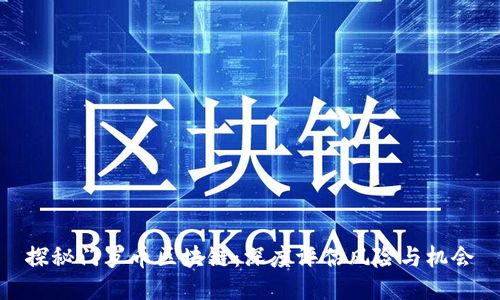 探秘门罗币区块链：深度评估风险与机会