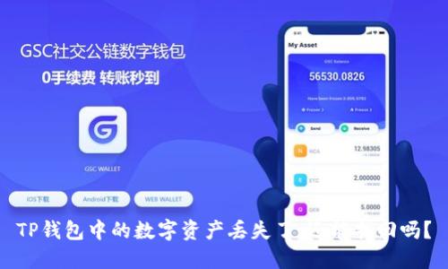 TP钱包中的数字资产丢失了，还能找回吗？