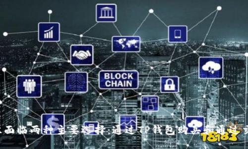 思考一个且的

在现代数字货币的世界里，用户在选择购买和交易方式时，往往面临两种主要选择：通过TP钱包购买和通过交易所购买。那么，TP钱包与交易所：如何选择适合你的买币方式