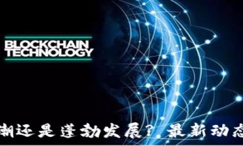   
区块链退潮还是蓬勃发展? 最新动态深度分析
