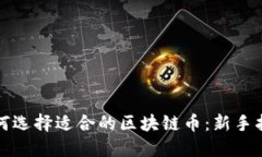 如何选择适合的区块链币：新手指南