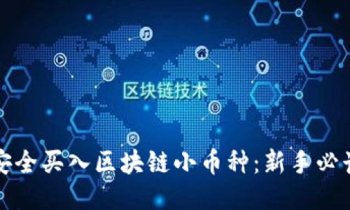 如何安全买入区块链小币种：新手必读指南